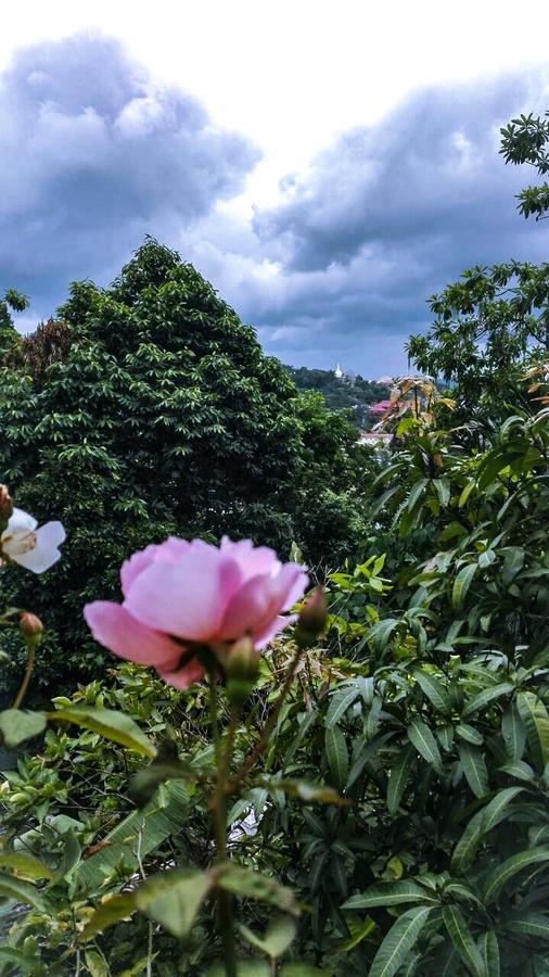 康提j旅馆旅舍 外观 照片